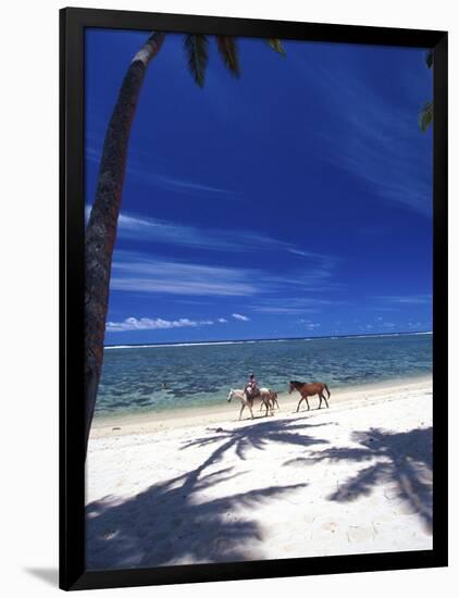 Palm Trees and Horses, Tambua Sands, Coral Coast, Fiji-David Wall-Framed Photographic Print