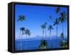 Palm Trees and Island, Tahiti, Society Islands, French Polynesia, South Pacific Islands, Pacific-Sylvain Grandadam-Framed Stretched Canvas