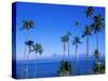 Palm Trees and Island, Tahiti, Society Islands, French Polynesia, South Pacific Islands, Pacific-Sylvain Grandadam-Stretched Canvas