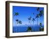 Palm Trees and Island, Tahiti, Society Islands, French Polynesia, South Pacific Islands, Pacific-Sylvain Grandadam-Framed Photographic Print