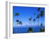 Palm Trees and Island, Tahiti, Society Islands, French Polynesia, South Pacific Islands, Pacific-Sylvain Grandadam-Framed Photographic Print