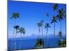 Palm Trees and Island, Tahiti, Society Islands, French Polynesia, South Pacific Islands, Pacific-Sylvain Grandadam-Mounted Photographic Print