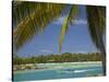 Palm Trees and Lagoon, Musket Cove Island Resort, Malolo Lailai Island, Mamanuca Islands, Fiji-David Wall-Stretched Canvas