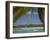 Palm Trees and Lagoon, Musket Cove Island Resort, Malolo Lailai Island, Mamanuca Islands, Fiji-David Wall-Framed Premium Photographic Print