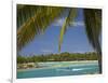 Palm Trees and Lagoon, Musket Cove Island Resort, Malolo Lailai Island, Mamanuca Islands, Fiji-David Wall-Framed Photographic Print