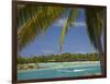 Palm Trees and Lagoon, Musket Cove Island Resort, Malolo Lailai Island, Mamanuca Islands, Fiji-David Wall-Framed Photographic Print