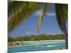 Palm Trees and Lagoon, Musket Cove Island Resort, Malolo Lailai Island, Mamanuca Islands, Fiji-David Wall-Mounted Photographic Print