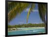 Palm Trees and Lagoon, Musket Cove Island Resort, Malolo Lailai Island, Mamanuca Islands, Fiji-David Wall-Framed Photographic Print