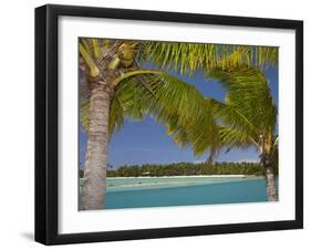 Palm Trees and Lagoon, Musket Cove Island Resort, Malolo Lailai Island, Mamanuca Islands, Fiji-David Wall-Framed Premium Photographic Print