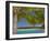 Palm Trees and Lagoon, Musket Cove Island Resort, Malolo Lailai Island, Mamanuca Islands, Fiji-David Wall-Framed Premium Photographic Print