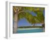 Palm Trees and Lagoon, Musket Cove Island Resort, Malolo Lailai Island, Mamanuca Islands, Fiji-David Wall-Framed Premium Photographic Print