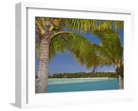 Palm Trees and Lagoon, Musket Cove Island Resort, Malolo Lailai Island, Mamanuca Islands, Fiji-David Wall-Framed Premium Photographic Print