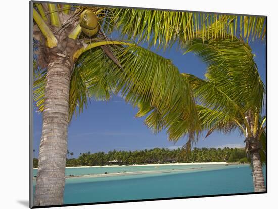 Palm Trees and Lagoon, Musket Cove Island Resort, Malolo Lailai Island, Mamanuca Islands, Fiji-David Wall-Mounted Premium Photographic Print