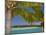 Palm Trees and Lagoon, Musket Cove Island Resort, Malolo Lailai Island, Mamanuca Islands, Fiji-David Wall-Mounted Premium Photographic Print