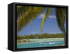 Palm Trees and Lagoon, Musket Cove Island Resort, Malolo Lailai Island, Mamanuca Islands, Fiji-David Wall-Framed Stretched Canvas