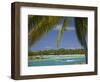 Palm Trees and Lagoon, Musket Cove Island Resort, Malolo Lailai Island, Mamanuca Islands, Fiji-David Wall-Framed Photographic Print