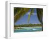 Palm Trees and Lagoon, Musket Cove Island Resort, Malolo Lailai Island, Mamanuca Islands, Fiji-David Wall-Framed Photographic Print