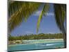 Palm Trees and Lagoon, Musket Cove Island Resort, Malolo Lailai Island, Mamanuca Islands, Fiji-David Wall-Mounted Photographic Print