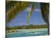 Palm Trees and Lagoon, Musket Cove Island Resort, Malolo Lailai Island, Mamanuca Islands, Fiji-David Wall-Stretched Canvas