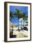 Palm Trees and Lamai Beach, Koh Samui, Thailand, Southeast Asia, Asia-Lee Frost-Framed Photographic Print