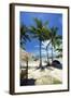 Palm Trees and Lamai Beach, Koh Samui, Thailand, Southeast Asia, Asia-Lee Frost-Framed Photographic Print