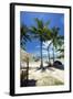 Palm Trees and Lamai Beach, Koh Samui, Thailand, Southeast Asia, Asia-Lee Frost-Framed Photographic Print