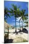 Palm Trees and Lamai Beach, Koh Samui, Thailand, Southeast Asia, Asia-Lee Frost-Mounted Photographic Print