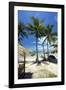 Palm Trees and Lamai Beach, Koh Samui, Thailand, Southeast Asia, Asia-Lee Frost-Framed Photographic Print