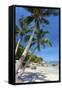 Palm Trees and Lamai Beach, Koh Samui, Thailand, Southeast Asia, Asia-Lee Frost-Framed Stretched Canvas