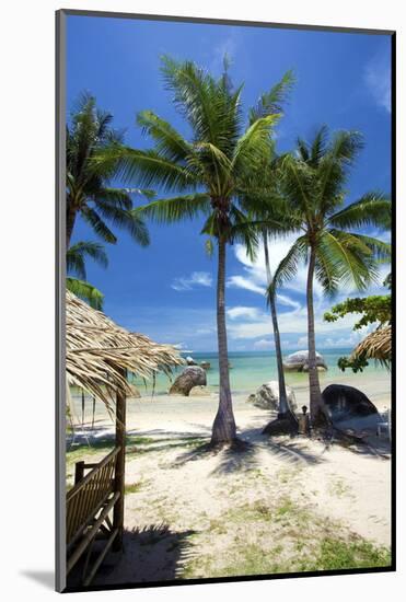 Palm Trees and Lamai Beach, Koh Samui, Thailand, Southeast Asia, Asia-Lee Frost-Mounted Photographic Print