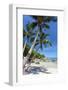 Palm Trees and Lamai Beach, Koh Samui, Thailand, Southeast Asia, Asia-Lee Frost-Framed Photographic Print