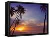 Palm Trees and Ocean at Sunset, Maldives, Indian Ocean, Asia&No.10;-Sakis Papadopoulos-Framed Stretched Canvas