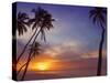 Palm Trees and Ocean at Sunset, Maldives, Indian Ocean, Asia&No.10;-Sakis Papadopoulos-Stretched Canvas