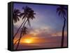 Palm Trees and Ocean at Sunset, Maldives, Indian Ocean, Asia&No.10;-Sakis Papadopoulos-Framed Stretched Canvas