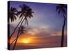 Palm Trees and Ocean at Sunset, Maldives, Indian Ocean, Asia&No.10;-Sakis Papadopoulos-Stretched Canvas