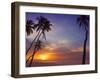 Palm Trees and Ocean at Sunset, Maldives, Indian Ocean, Asia&No.10;-Sakis Papadopoulos-Framed Photographic Print