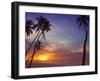 Palm Trees and Ocean at Sunset, Maldives, Indian Ocean, Asia&No.10;-Sakis Papadopoulos-Framed Photographic Print