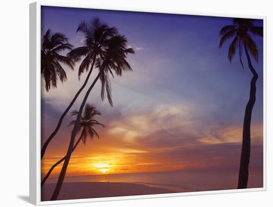 Palm Trees and Ocean at Sunset, Maldives, Indian Ocean, Asia&No.10;-Sakis Papadopoulos-Framed Photographic Print