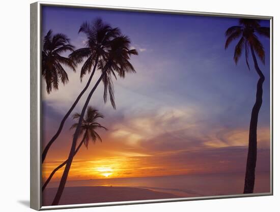 Palm Trees and Ocean at Sunset, Maldives, Indian Ocean, Asia&No.10;-Sakis Papadopoulos-Framed Photographic Print