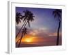 Palm Trees and Ocean at Sunset, Maldives, Indian Ocean, Asia&No.10;-Sakis Papadopoulos-Framed Photographic Print