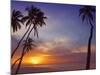 Palm Trees and Ocean at Sunset, Maldives, Indian Ocean, Asia&No.10;-Sakis Papadopoulos-Mounted Photographic Print