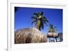 Palm Trees and Palapa Umbrellas Palm Beach Aruba-George Oze-Framed Photographic Print