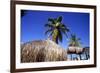 Palm Trees and Palapa Umbrellas Palm Beach Aruba-George Oze-Framed Photographic Print