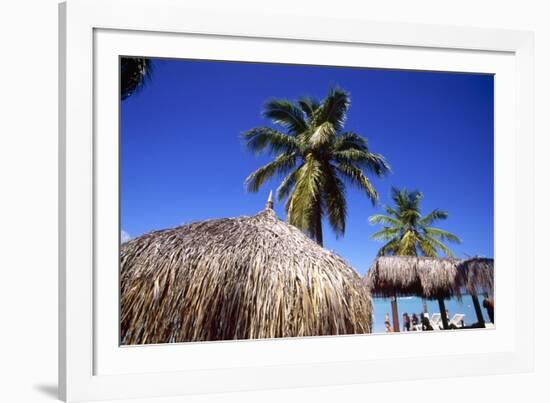 Palm Trees and Palapa Umbrellas Palm Beach Aruba-George Oze-Framed Photographic Print