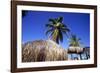 Palm Trees and Palapa Umbrellas Palm Beach Aruba-George Oze-Framed Photographic Print