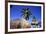Palm Trees and Palapa Umbrellas Palm Beach Aruba-George Oze-Framed Photographic Print