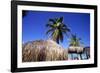 Palm Trees and Palapa Umbrellas Palm Beach Aruba-George Oze-Framed Photographic Print