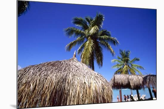 Palm Trees and Palapa Umbrellas Palm Beach Aruba-George Oze-Mounted Photographic Print