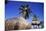 Palm Trees and Palapa Umbrellas Palm Beach Aruba-George Oze-Mounted Photographic Print