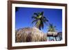 Palm Trees and Palapa Umbrellas Palm Beach Aruba-George Oze-Framed Photographic Print